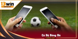 ca-do-bong-da