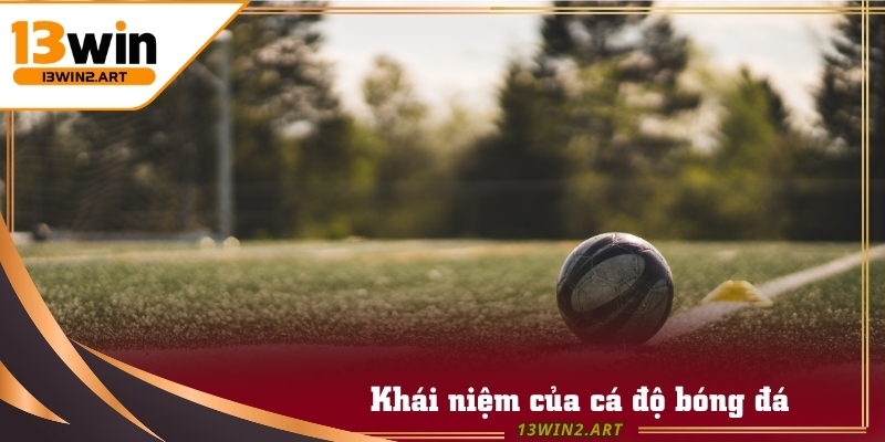 Trước khi tham gia, người chơi cần hiểu rõ cá độ bóng đá là gì