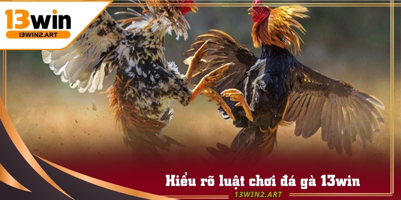 Hiểu rõ luật chơi g giúp bạn đưa ra chiến thuật Đá Gà 13win thông minh