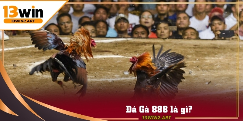 Trận đấu Đá Gà 888 trực tuyến nổi tiếng với với hình ảnh sống động