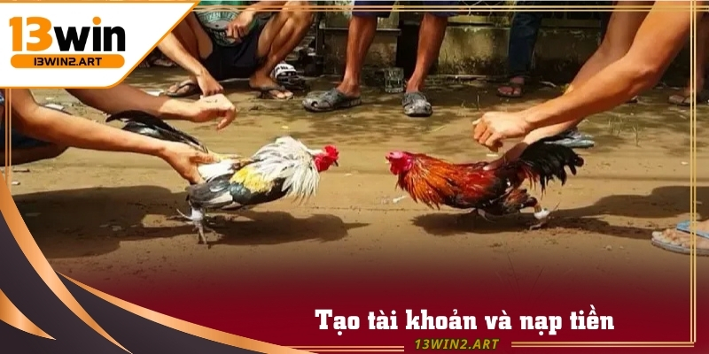 Nạp tiền vào tài khoản để tham gia cá cược Đá Gà 888 đổi thưởng online