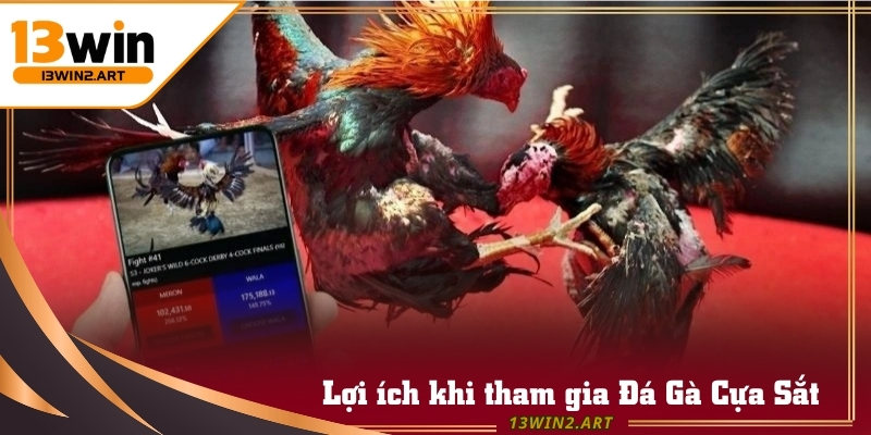 Tham gia Đá Gà Cựa Sắt mang lại giải trí hấp dẫn cho người chơi